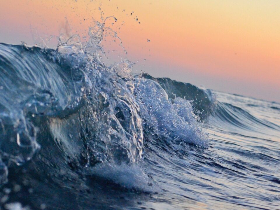 Sóng biển là gì và các loại sóng?