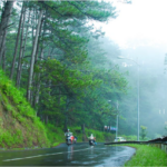 Wet, winding road through a dense green forest with motorcyclists riding in misty weather.