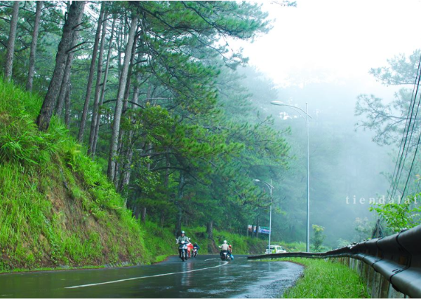 Wet, winding road through a dense green forest with motorcyclists riding in misty weather.